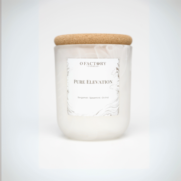 Pure Elevation candle with eucalyptus, spearmint, white tea, bergamot, sea salt, and orchid scent in frosted glass jar, hand-poured coconut apricot wax